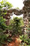 Formazioni rocciose a Chapada dos Guimaraes, Cuiaba, Brasile. Questo territorio del paese è visitato da appassionati di natura e fauna selvatica.



