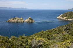 Formazioni rocciose al largo della costa di Port Cros, Francia. Le scogliere e la folta macchia mediterranea sono perfetto habitat per specie endemiche e uccelli rari.

