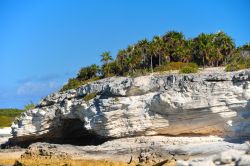 Formazioni rocciose lungo la costa dell'isola caraibica di Eleuthera, Bahamas.



