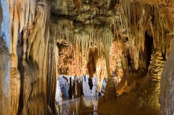 Formazioni scultoree nella grotta di Baredine, Croazia. Un'immagine delle suggestive formazioni create dallo scorrere dell'acqua sulla roccia. Questa grotta situata vicino a Porec ospita ...