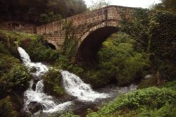 Le Forre di Corchiano: Il ponte romano sul Rio Fratta - © Filoph - CC BY-SA 3.0 - Wikimedia Commons.