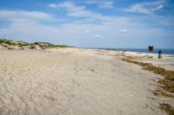 Fort Tilden beach a New York, Stati Uniti. Dal 2014 Fort Tilden è diventata una zona naturale di spiaggia, dune e foresta marittima. La maggior parte delle installazioni militari sono ...