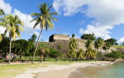 Forte Saint Louis e la spiaggia con le palme a Fort-de-France, isola di Martinica. Costruito come una fortezza reale durante la Guerra dei Sette Anni, è una delle principali attrazioni ...