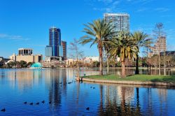 Lago Eola a Orlando, Florida - Chiamata "città bellissima", questa metropoli americana che giova di un clima da tropici, si espande lungo i litorali del bel lago Eola la cui ...