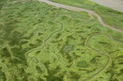 Fotografia aerea della riserva naturale Verdronken Land van Saeftinghe nel territorio della Zelanda, Paesi Bassi. Quest'area di trova al confine fra Olanda e Belgio: è una palude ...