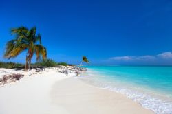 Fotografia panoramica della spiaggia bianca e del Mare dei Caraibi a Cayo Largo, Cuba. Un paesaggio naturale da cartolina.



