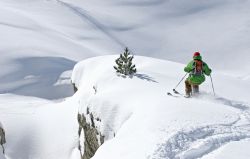 Freeride, sci fuori pista sulle nevi di Les Deux Alpes - © bruno longo - www.les2alpes.com