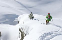 Freeride, sci fuori pista sulle nevi di Les Deux ...