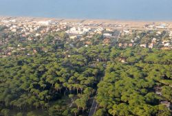 Fregene, la spiaggia sulla costa tirrenica e la pineta vicino alle foci del Tevere, a sud-ovest di Roma