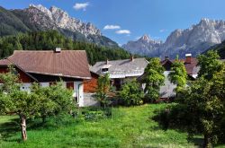 Frutteti nella campagna di Kranjska Gora con le vette del Prisank sullo sfondo in una giornata d'estate (Slovenia).
