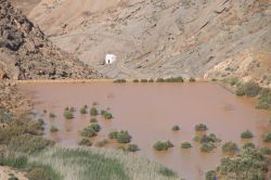 Parco rurale di Betancuria, penisola di Jandia, Fuerteventura (Canarie) - Non è vero che Fuerteventura rappresenta "solo" spiagge e divertimento e a dimostrarlo chiaramente ...