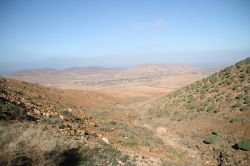 Fotografia panoramica del percorso rupestre di Betancuria, Fuerteventura (Isole Canarie) - Quando ci si trova al cospetto di un ecosistema che aiuta a mantenere un certo tipo di natura, accade ...