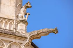 Gargolle nella cattedrale di San Pietro a Poitiers, Francia.
