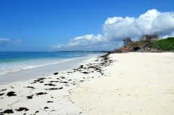 Garoda Beach, Watamu (Kenya): la splendida spiaggia incontaminata del Garoda Beach Resort, pochi km a sud del centro di Watamu.