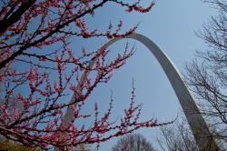 Il Gateway Arch fotografato in primavera a St Louis - © Missouri Division of Tourism