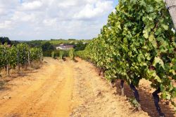 Gavi famosa per il suo vino nel sud del Piemonte