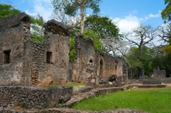 Gede fu un'antica città swahili che ebbe il suo apogeo attorno al Cinquecento, per poi essere abbandonata nel Settecento. Si trova nei pressi di Malindi, Kenya - foto © Byelikova ...