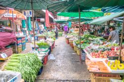 Gente acquista frutta e verdura al mercato locale di Nonthaburi, Thailandia - © apiguide / Shutterstock.com