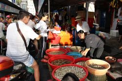 Gente al mercato serale di Haikou, Cina. Fra le bancarelle del mercato locale si possono trovare molte varietà di pesce, da quello fresco a quello essiccato - © Al.geba / Shutterstock.com ...