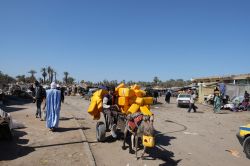 Gente e bancarelle al mercato di Nouakchott, Mauritania - © Lena Ha / Shutterstock.com