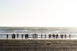 Gente in spiaggia a San Francisco, California, in un pomeriggio ventoso.
