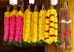 Ghirlande di fiori al mercato di Trivandrum, India, in occasione della ricorrenza di Onam - © Ajayptp / Shutterstock.com 