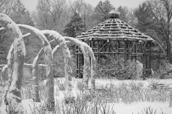 Il giardino delle rose all'Elizabeth Park di Hartford, in inverno con la neve, Connecticut.
