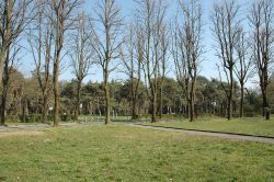 Giardino pubblico a Crespi d'Adda - non mancavano spazi verdi nel contesto di Crespi d'Adda, villaggio operaio di grande importanza storica e sociale, unico in Italia. Oltre a un bel ...