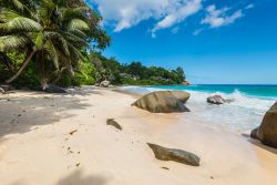 Giornata di sole sulla spiaggia di Anse Carana a nord di Mahé, Seychelles. Lunga poco più di 300 metri e larga una ventina, questa spiaggetta spesso deserta è perfetta per ...
