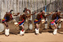 Giovani uomini indossano gli abiti tradizionali dello Swaziland e danzano, Africa - © Gil.K / Shutterstock.com