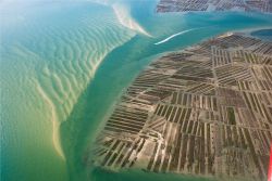 Gli allevamenti di ostriche nel Bassin d'Arcachon in Aquitania, Francia sud-occidentale