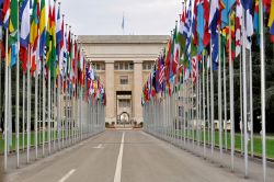 Gli uffici delle Nazioni Unite a Ginevra, Svizzera. Il viale con tutte le bandiere che conduce al Palazzo dell'ONU
