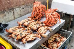 Granchi in una bancarella del mercato del pesce a Puerto Montt, Cile. Gli appassionati di gastronomia troveranno in questa località, porta d'accesso alla Patagonia cilena, prodotti ...