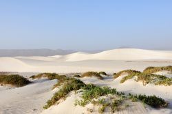 Una grande duna bianca a Aomak Beach al tramonto sull'isola di Socotra, Yemen. Quest'area protetta è un importante centro di biodiversità.

