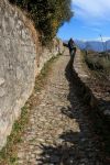 Greenway il sentiero: si trova sulla sponda ovest del Lago di Como, una delle attrazioni di Colonno