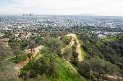 Griffith Park a Los Angels, punto panoramico