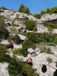 Grotte e carsismo in una gravina a Massafra, Puglia - Il territorio di Massafra, in provincia di Taranto, è caratterizzato da grotte e dal fenomeno erosivo del carsismo che altera e erode ...