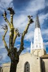 Il villaggio di Ars-en-Ré con la guglia della chiesa di Santo Stefano sull'isola di Ré, Francia.

