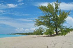Half Moon Cay, Bahamas: spiaggia dorata, acqua verde smeraldo e cielo blu. Sono i colori dello splendido litorale di questo piccolo isolotto situato circa 160 chilometri a sud-est di Nassau.
 ...