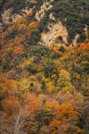 I boschi del Monte Terminio in autunno a Montella (Campania)