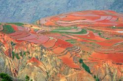 I campi terrazzati di Dongchuan, si trovano nella Cina centro-meridionale - © suronin / Shutterstock.com