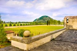 I Colli Euganei fotografati dalle campagne di Abano Terme in Veneto