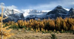 I colori d'autunno sulle Montagne Rocciose negli USA - © Steve Jurvetson - Wikipedia