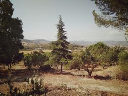 I dintorni di Racalmuto in Sicilia, provincia di Agrigento, lungo il percorso della Strada degli Scrittori Siciliani