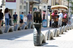 I Dragoni di Niort nel centro della città del Marais Poitevin in Francia