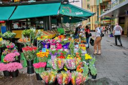 I fiori colorati di un negozio nel centro di Adelaide, Australia - © Lux Blue / Shutterstock.com