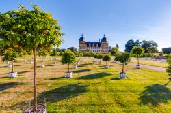 I giardini del castello Seehof vicino a Bamberga in estate, Germania - © Andreas Zerndl / Shutterstock.com