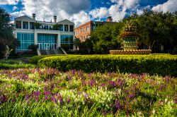 I giardini e la Pineapple Fountain presso il Waterfront Park, situato lungo il cordo del Cooper river a Charleston, South Carolina - foto © Jon Bilous / Shutterstock.com