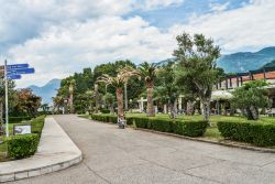 I giardini sull'isolotto di Sveti Stefan, Montenegro, in una bella giornata estiva - © mama_mia / Shutterstock.com