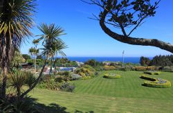 I giardini Tregenna a St. Ives, Cornovaglia, Regno Unito. Piante tropicali caratterizzano questo parco che circonda il resort Tregenna.
